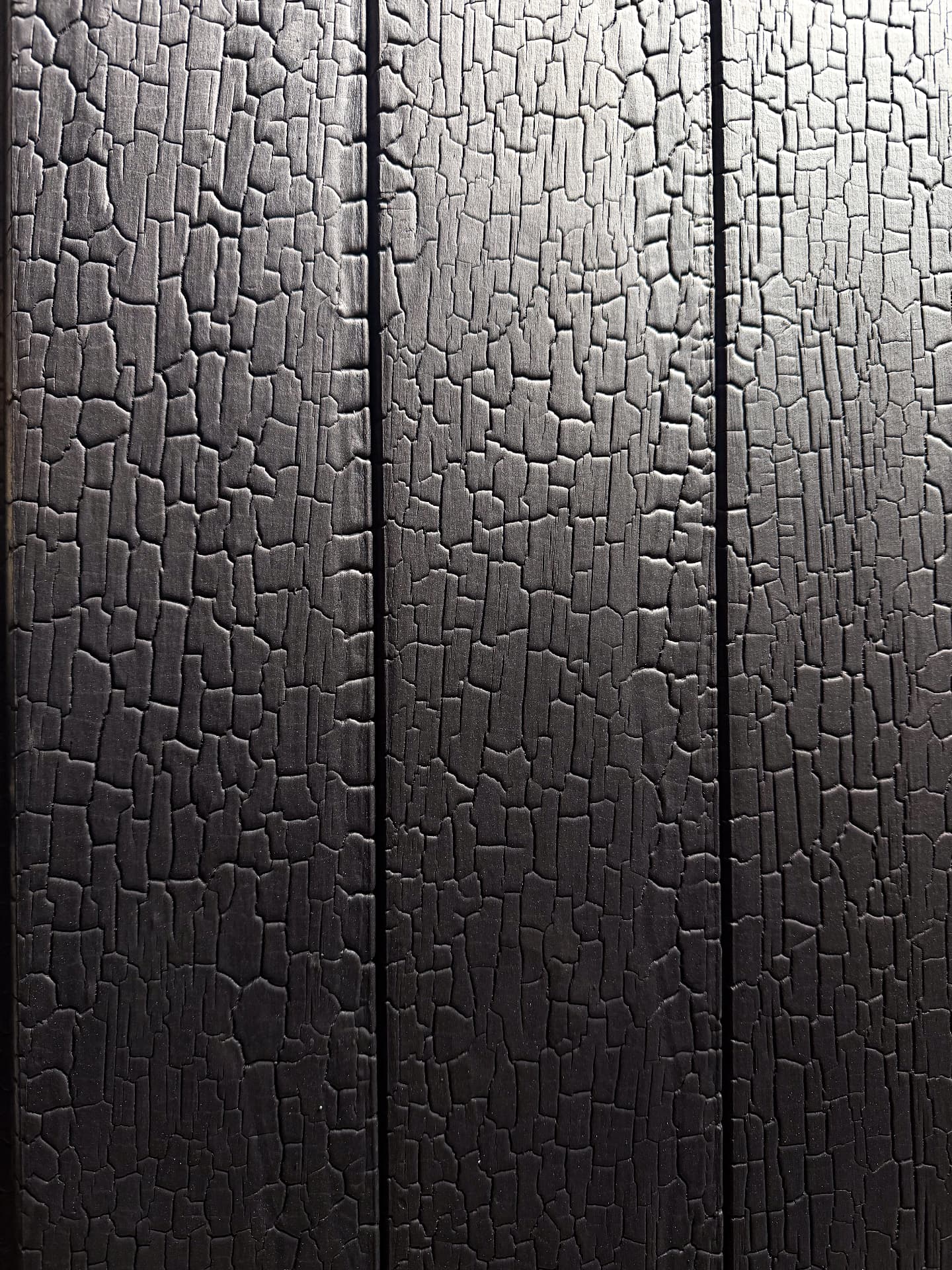 Accoya timber with a deeply charred KAEN surface